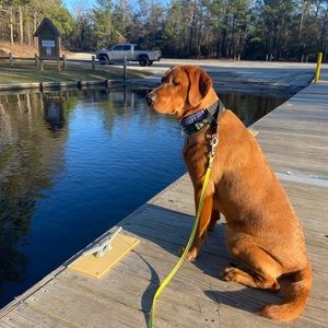 Meet your Posher, Sean